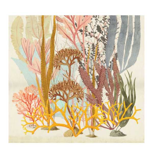 POSTER XXL IMPRESSION NUMERIQUE ''CATCHY CORALS'' 200 x 250 CM