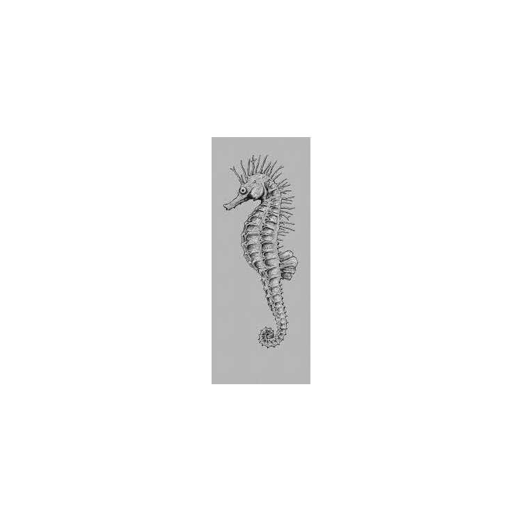 XXL DIGITAL PRINT POSTER ''SEA HORSE'' 100 x 250 CM