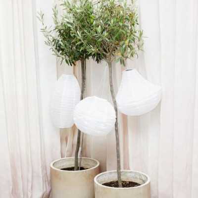 LANTERNE SOLAIRE ELLIPSE