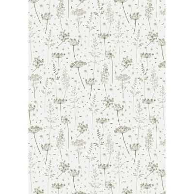 ROULEAU DE PAPIER HERBE VERTE ET OMBELLES 5M/ROULEAU