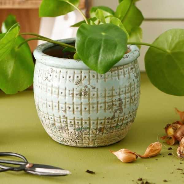 PETITE PAIRE DE CISEAUX DE JARDINAGE METAL NOIR
