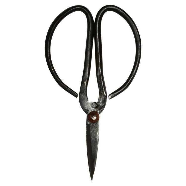 PETITE PAIRE DE CISEAUX DE JARDINAGE METAL NOIR