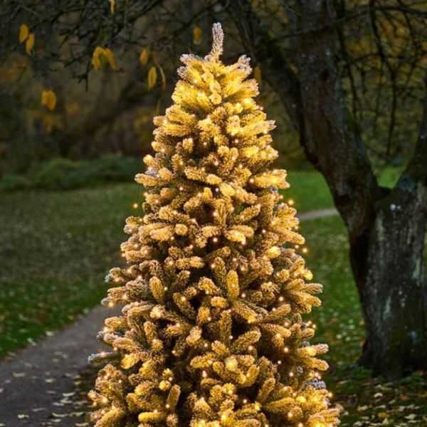 SAPIN DE NOEL ANTON 1.5M 195 LEDS VERT