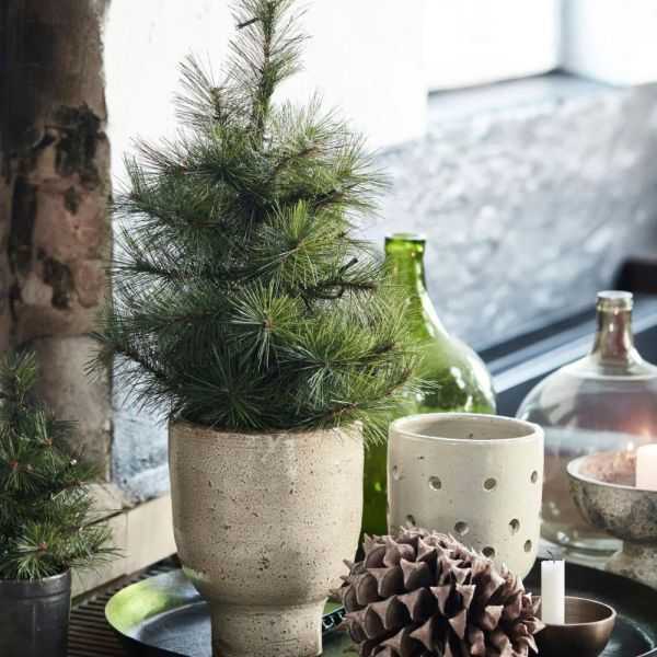 SAPIN DE NOEL AVEC LED PINUS NATURE