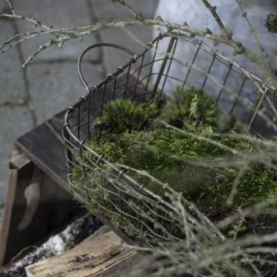 PANIER A PROVISIONS AVEC POIGNEES 38 X 25 CM METAL 2