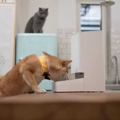DISTRIBUTEUR NOURRITURE SMART PET FOOD 3.6L 2