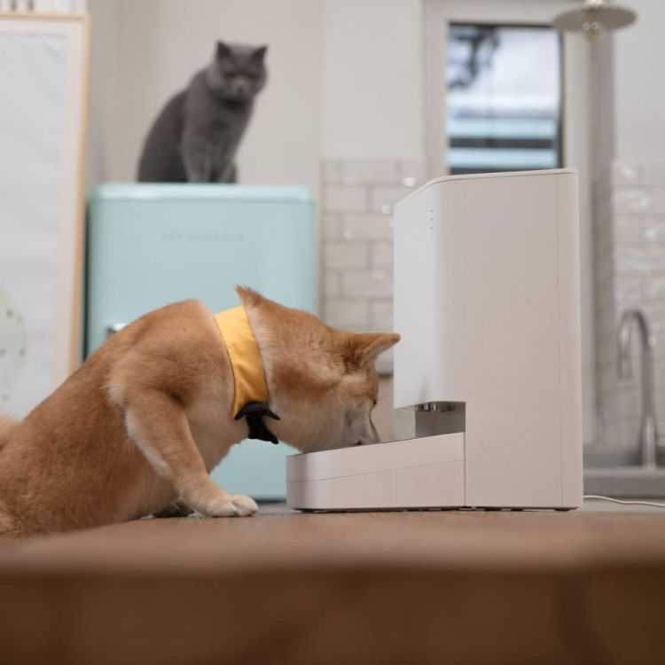 DISTRIBUTEUR NOURRITURE SMART PET FOOD 3.6L