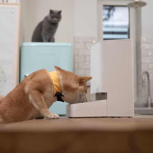 DISTRIBUTEUR NOURRITURE SMART PET FOOD 3.6L