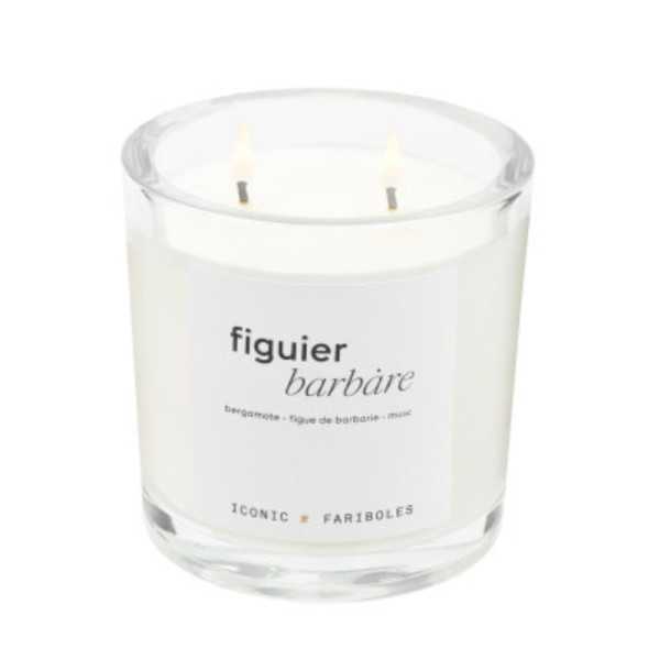 BOUGIE ICONIC FIGUIER BARBARE 320G