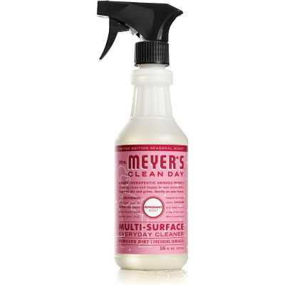 SPRAY MULTI-SURFACES AU...