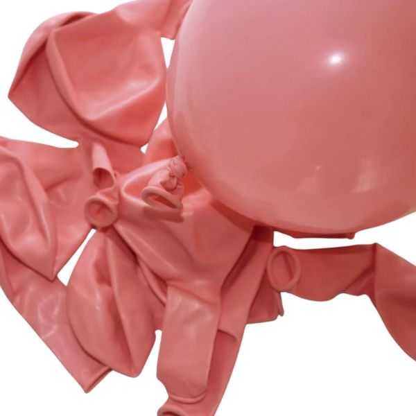 SACHET BALLONS 12 ROSE X10