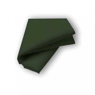 LOT DE 3 SERVIETTES EN COTON 45X45 CM PANAMA VERT 2