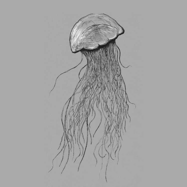POSTER XXL IMPRESSION NUMERIQUE ''JELLYFISH'' 100 x 250 CM