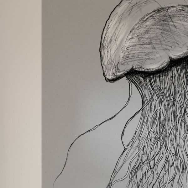 POSTER XXL IMPRESSION NUMERIQUE ''JELLYFISH'' 100 x 250 CM