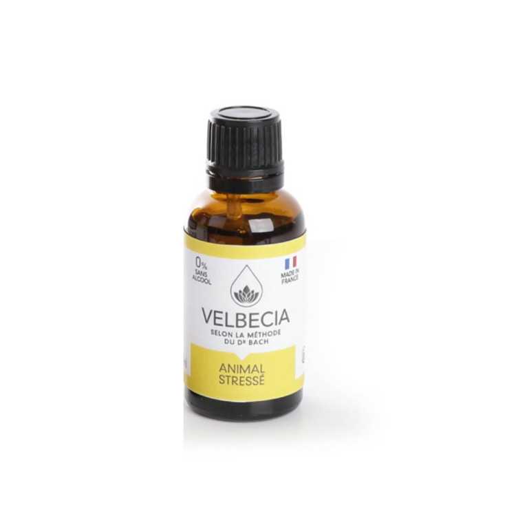 FLEUR BACH POUR ANIMAUX STRESS 30ML