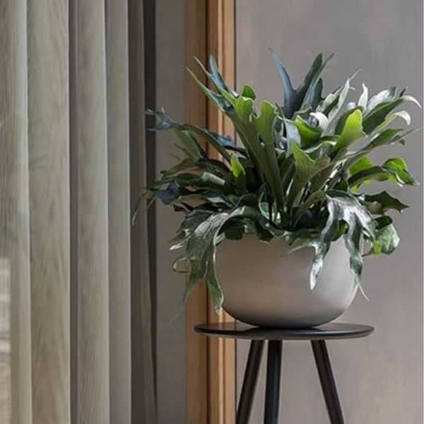 POT DE FLEUR SUNNY L