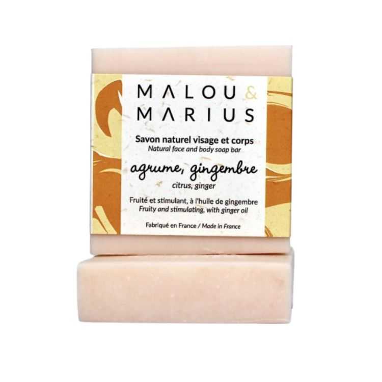 SABÃO CÍTRICO GENGIBRE