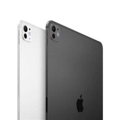 IPAD PRO 11' WIFI M4 1 TB PRATA 2024 2