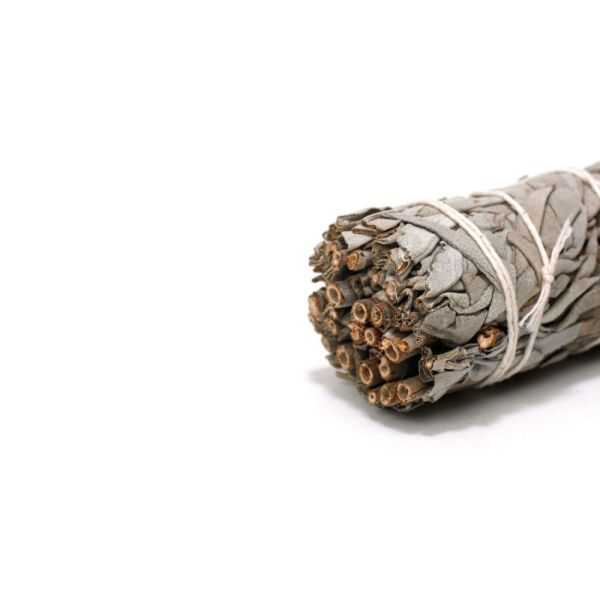 WHITE SAGE TO BURN