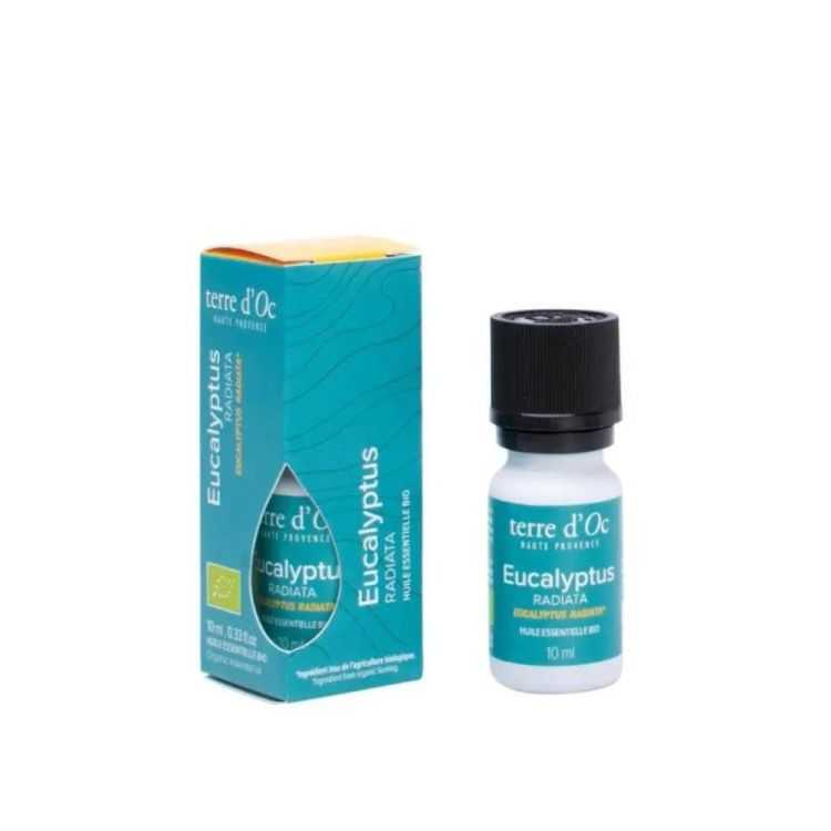 ORGANIC ESSENTIAL OIL EUCALYPTUS RADIATA