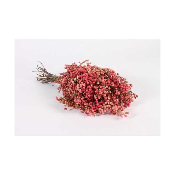 NATURAL DRIED PINK PEPPER 40CM 200G