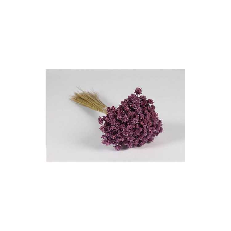 DRIED HILL FLOWERS LAVENDER H46 CM