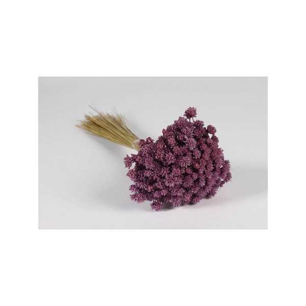 DRIED HILL FLOWERS LAVENDER H46 CM