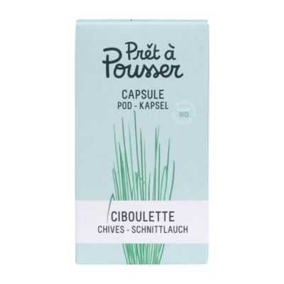 CAPSULE DE GRAINES BIOLOGIQUES DE CIBOULETTE