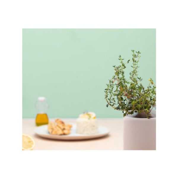 ORGANIC THYME SEED CAPSULE