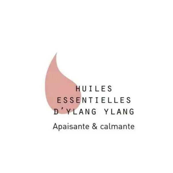 TISANE & HUILE ESSENTIELLE BIO MEDITATION