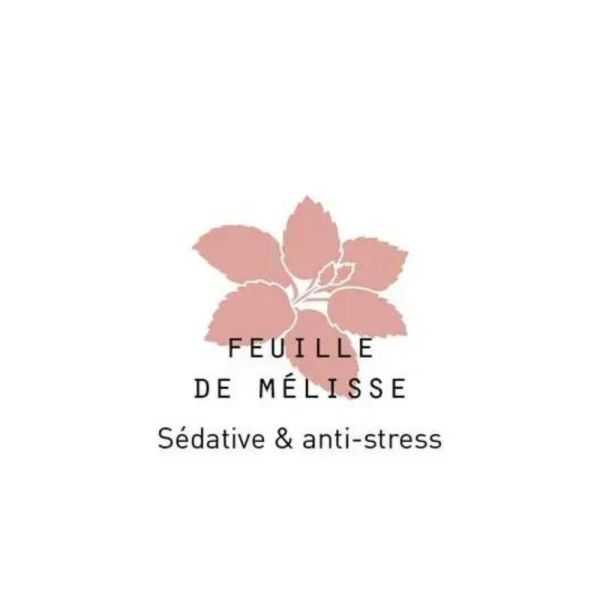 MEDITAÇÃO DE CHÁ DE ERVAS E ÓLEO ESSENCIAL ORGÂNICO