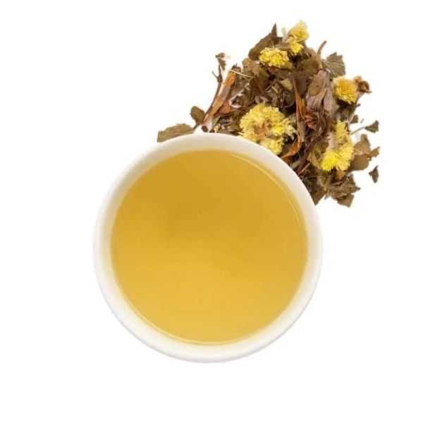 MEDITAÇÃO DE CHÁ DE ERVAS E ÓLEO ESSENCIAL ORGÂNICO