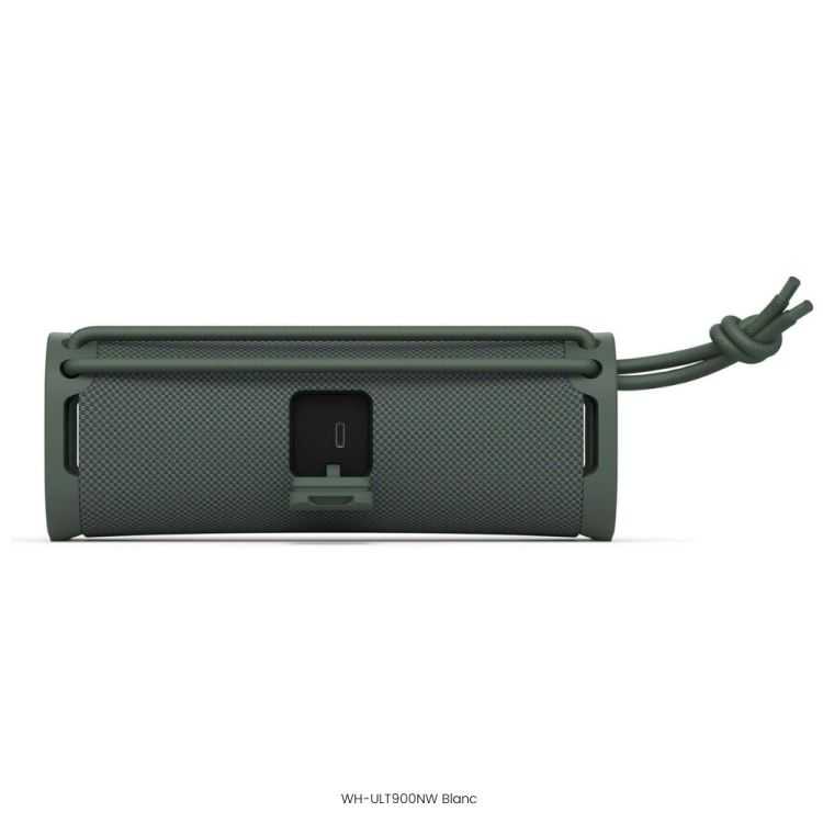 ENCEINTE NOMADE SANS FIL ULT FIELD 1 GRIS FORET