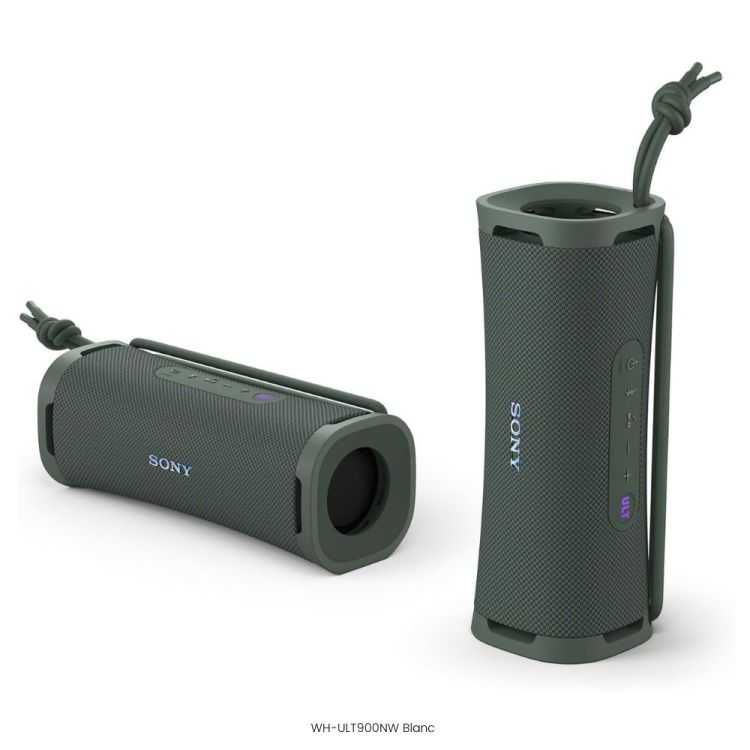 ENCEINTE NOMADE SANS FIL ULT FIELD 1 GRIS FORET