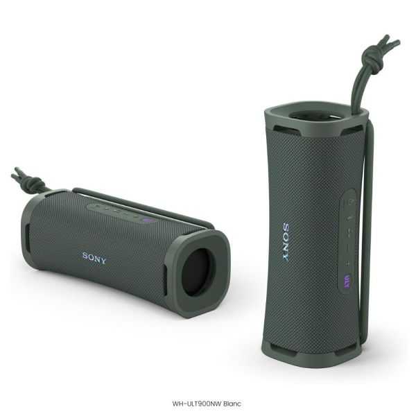 ENCEINTE NOMADE SANS FIL ULT FIELD 1 GRIS FORET