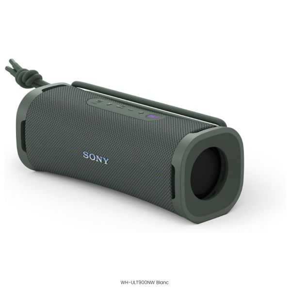 ENCEINTE NOMADE SANS FIL ULT FIELD 1 GRIS FORET