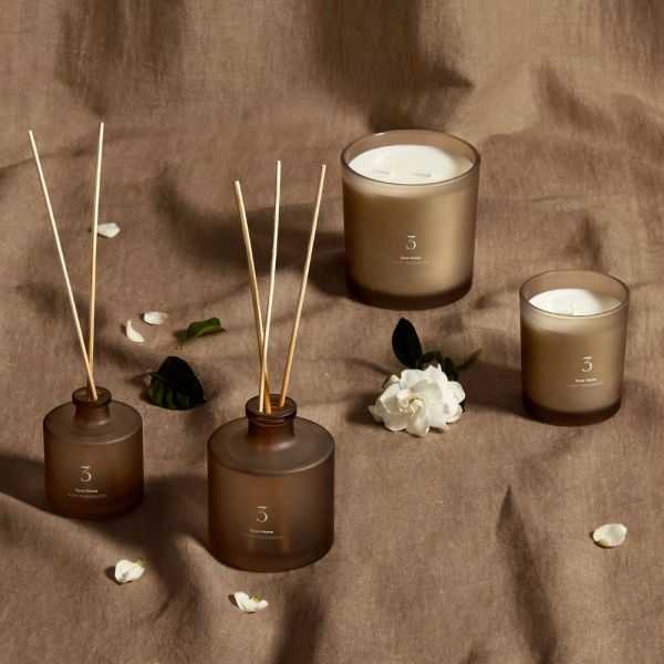 PERFUME DIFFUSER WITH STICKS 100 ML CITRUS WAVE