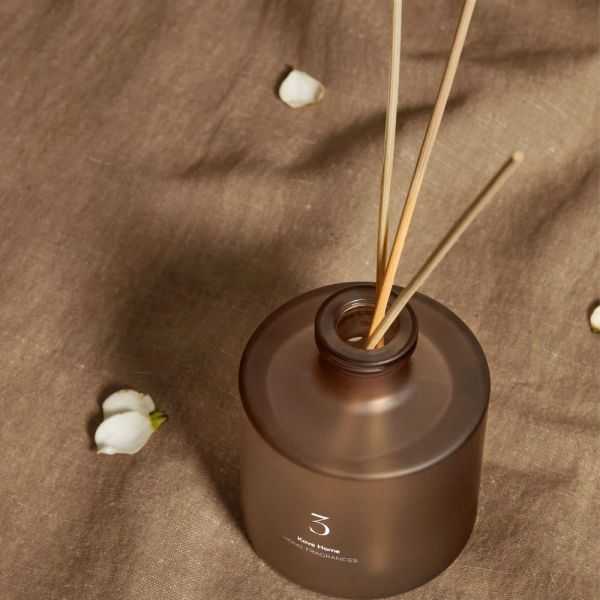 PERFUME DIFFUSER WITH STICKS 100 ML CITRUS WAVE