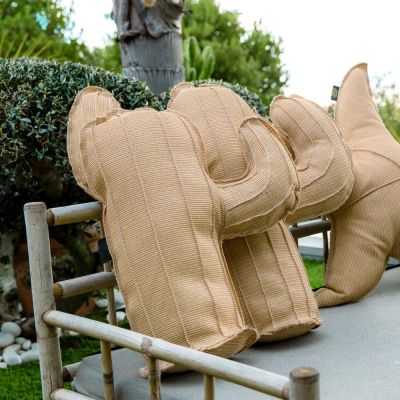 COUSSINEXTERIEUR CACTUS RAPHIA 2