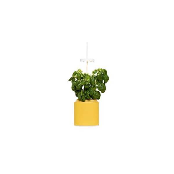 NANO PLASTIC VEGETABLE GARDEN YELLOW...