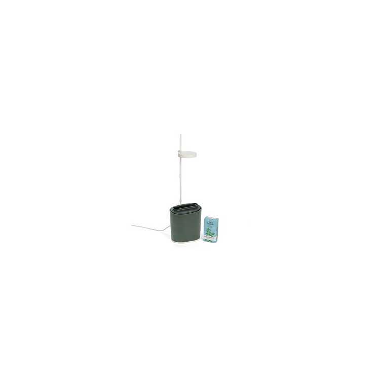 NANO CONNECTED VEGETABLE GARDEN FOREST GREEN WITH BASIL CAPSULE