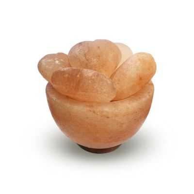 LAMPE DE SEL HIMALAYA BOL 5 COEURS 3.5KG
