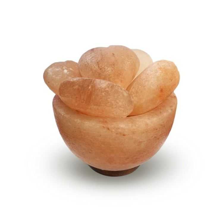 LAMPE DE SEL HIMALAYA BOL 5 COEURS 3.5KG