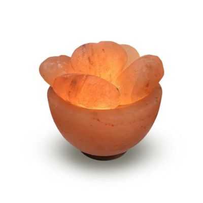 LAMPE DE SEL HIMALAYA BOL 5 COEURS 3.5KG 2
