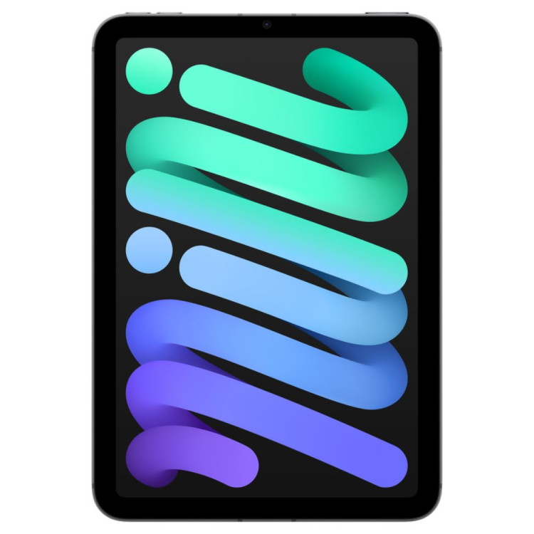 IPAD MINI WI-FI + CELL 5G A17 PRO 256 GO GRIS...