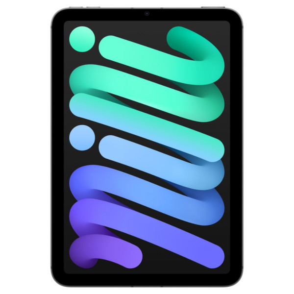 IPAD MINI WI-FI + CELL 5G A17 PRO 256 GO GRIS SIDERAL