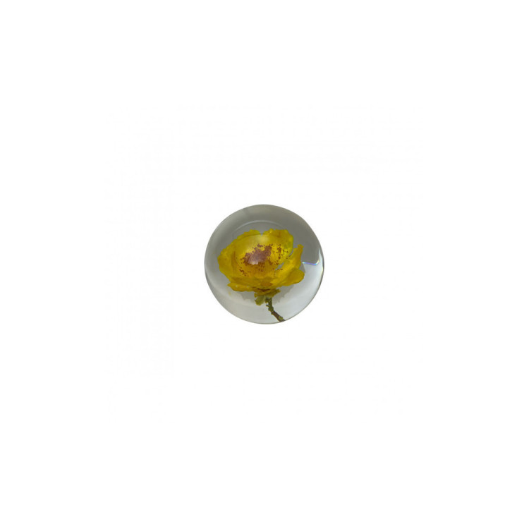 CAMELIA CRYSTAL BALL