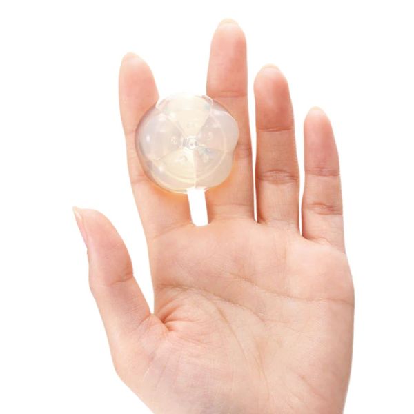 IROHA PETITE COQUILLE