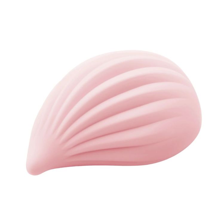 VIBROMASSEUR IROHA + KUSHI ROSE