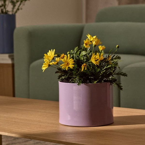 VASE ELOVA 16 CM CERAMIQUE LILA